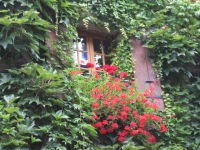 Chalets to rent for summer and winter holidays in Sixt Fer a Cheval nr. Samoens, Grand Massif
